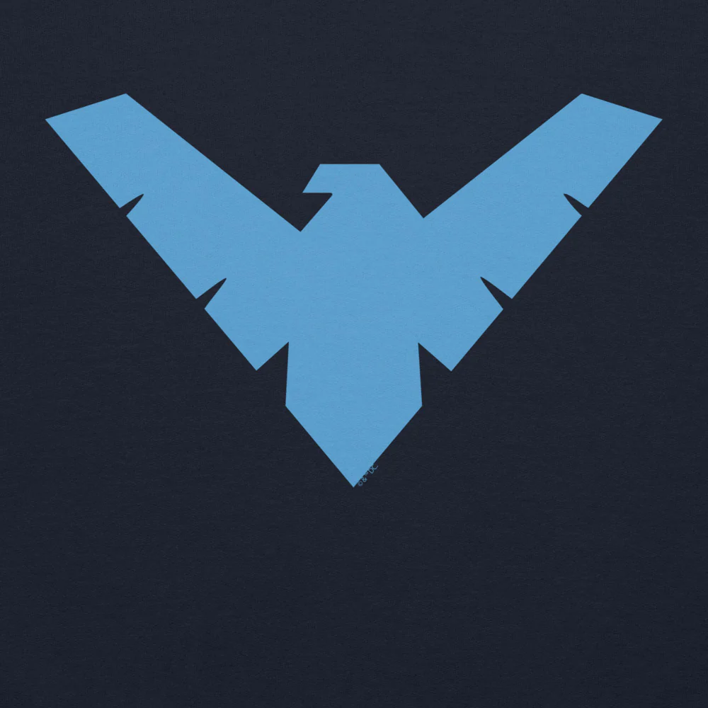 NIGHTWING Logo Hoodie - Image 4